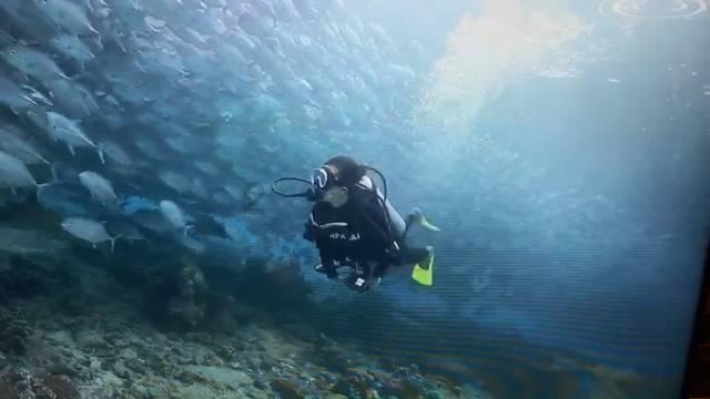 加勒比海度假村